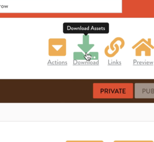 Download assets screenshot